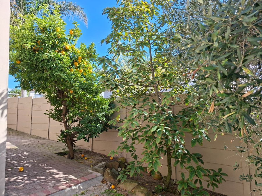 To Let 3 Bedroom Property for Rent in Jakarandas Western Cape
